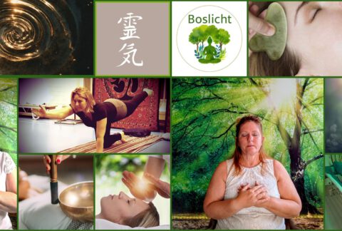 Boslicht (Reiki) cursussen, evenementen en workshops
