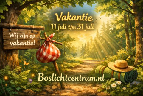 Boslicht is met Vakantie